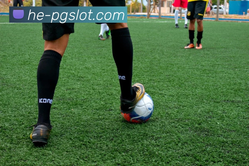 App Interface Preview